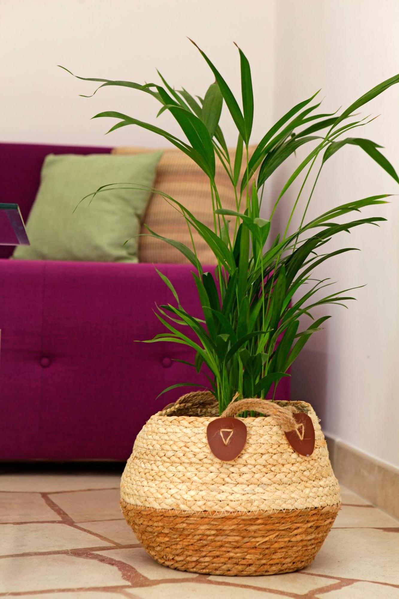 Vila Sania